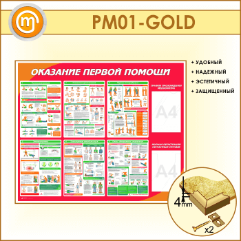          (PM-01-GOLD)